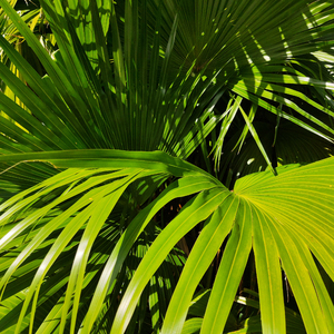 天天射天天干天天射天天干天天骑
